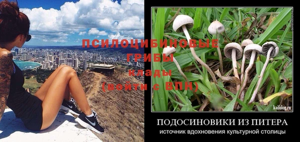 кокс Арсеньев