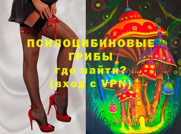 кокс Арсеньев