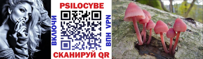 Галлюциногенные грибы прущие грибы  Вольск 